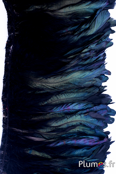 Frange coq fouet - long. plumes 15-20 cm - noir hirondelle